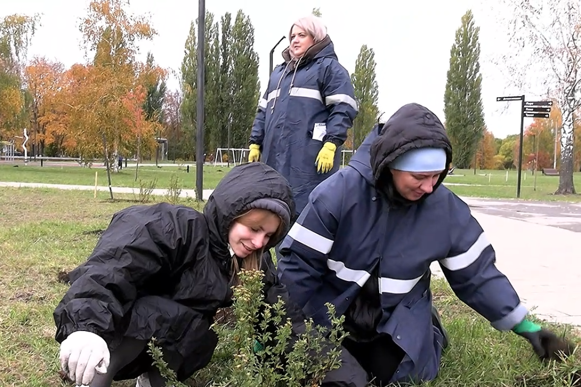 Высадка растений в Парке Берег 10.10.25