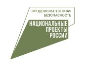 natsproekt-Prod-bezopasnost-avatarka-mini